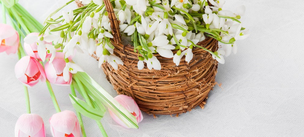 Sustainable Wedding Decorations and Supplies