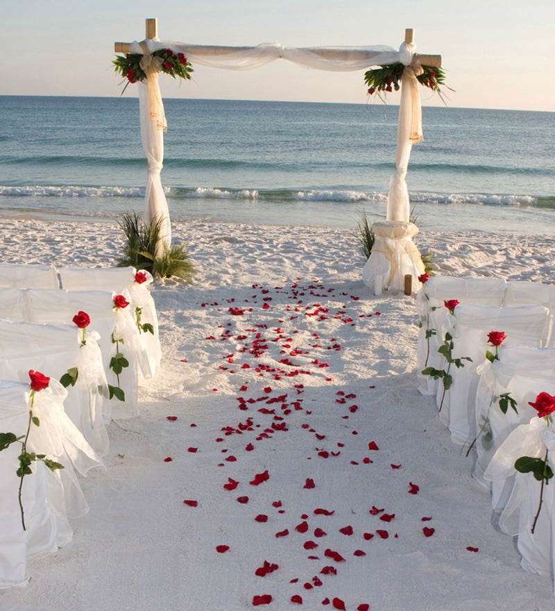 Crimson Red Freeze Dried and Preserved Rose Petal Confetti used as decorations at beachside wedding