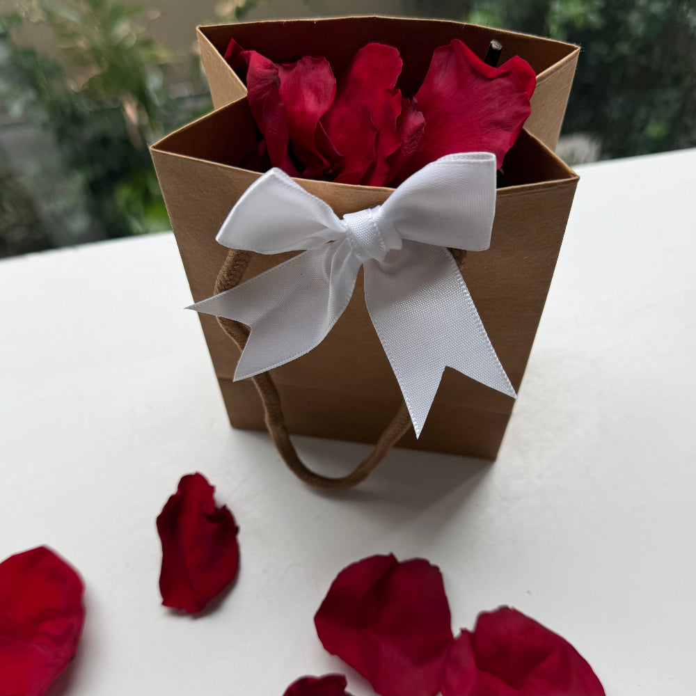 Memorial Bags XS Kraft 14cm x 11cm x 6.5cm Pack of 10 Soft Ruby Red