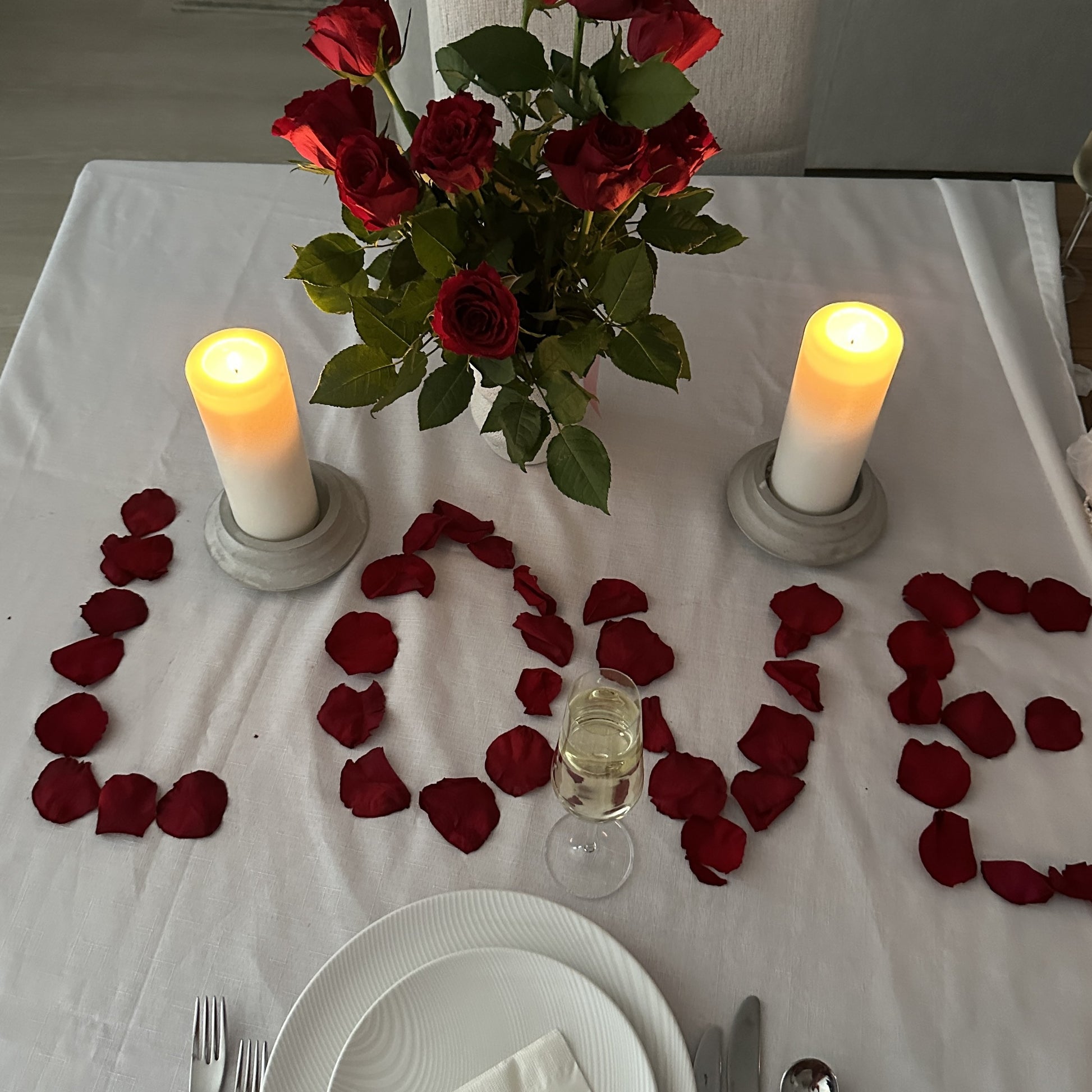 Ruby Red - Soft Freeze Dried Rose Petal Confetti