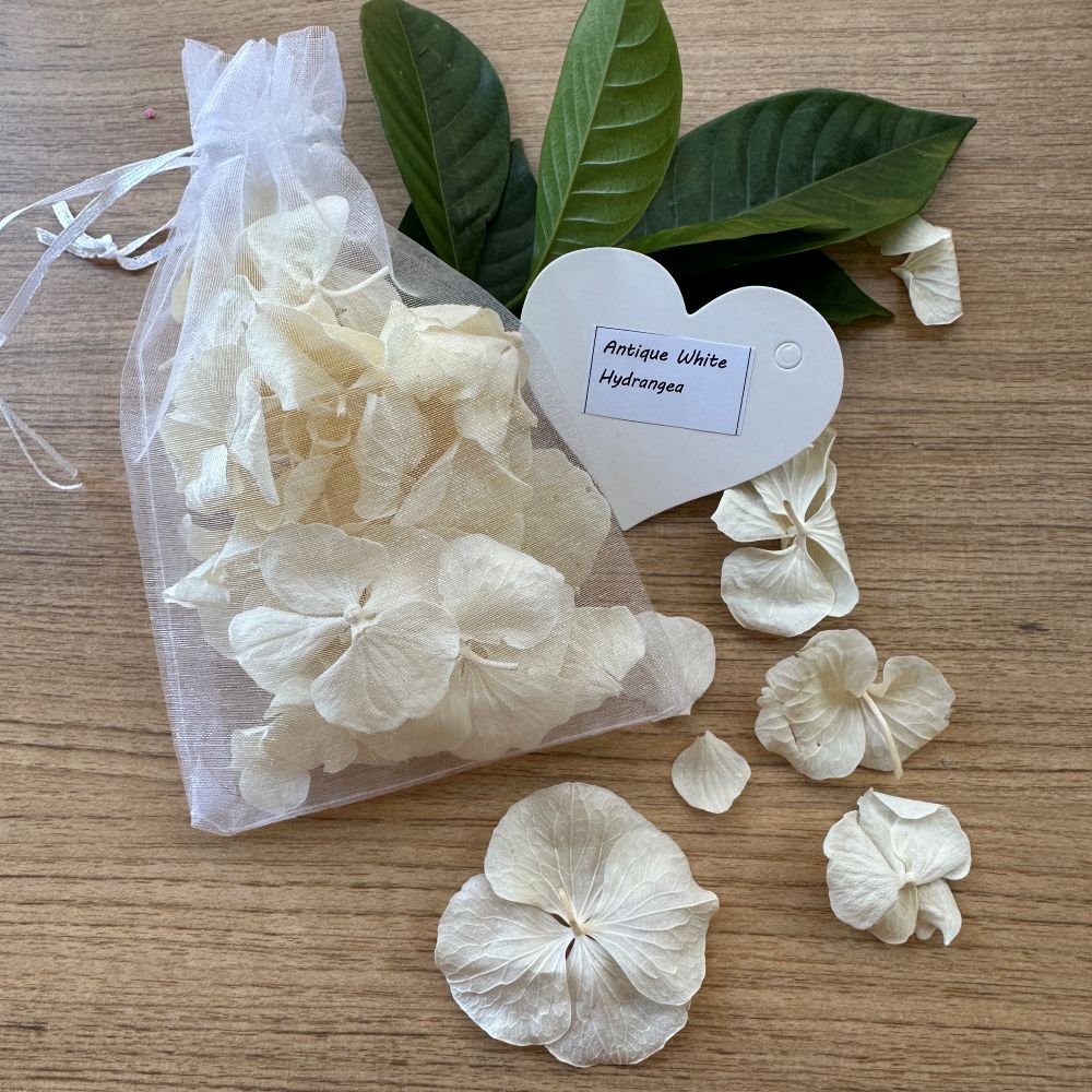 Freeze dried Antique White Hydrangea Wedding Petal Confetti