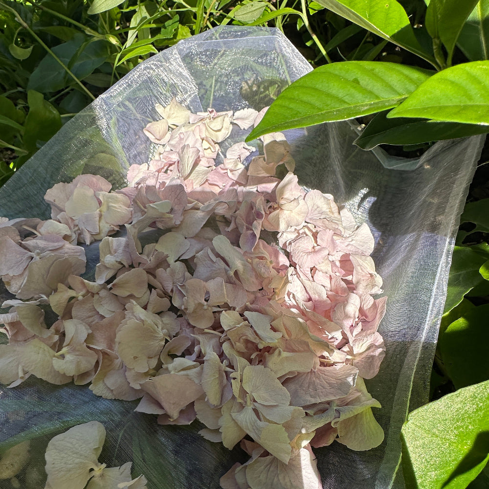 Freeze Dried Violet Mist Hydrangea Wedding Petal Confetti