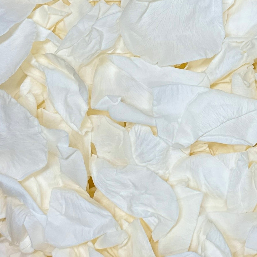 Memorial Natural Bags XS Kraft 14cm x 11cm x 6.5cm Pack of 10 Soft Snow White