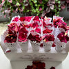 Crimson Red Freeze Dried and Preserved Rose Petal Confetti in set of 20 cones 