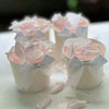 Soft Pink Freeze Dried and Preserved Rose Petal Confetti in pre-packaged tubs
