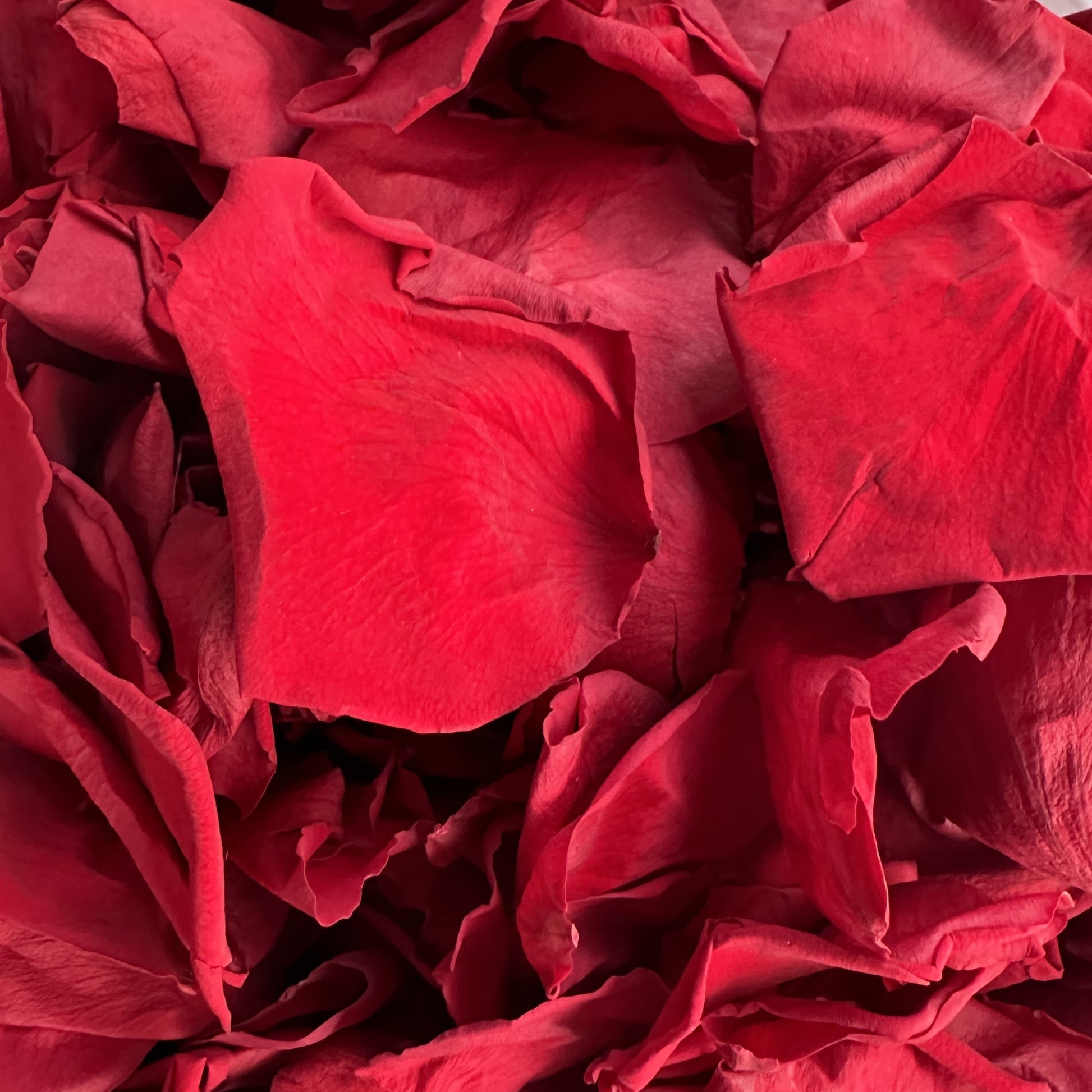 30 Guest Bespoke Value Bundle- Choose your Freeze Dried Rose Petal Confetti Colour and Cone font (Petals+Cones+Tray)