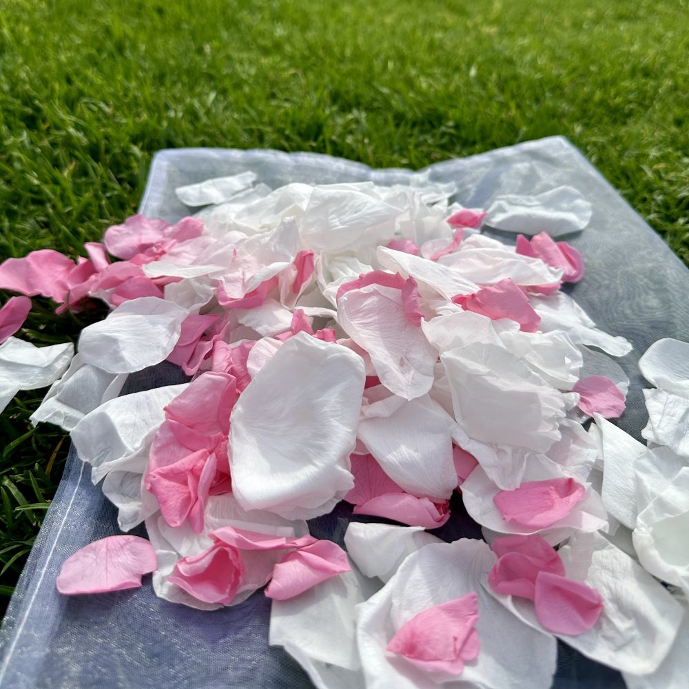 Small Pink and Large White Coconut Ice - Freeze Dried Soft Rose Petal Confetti
