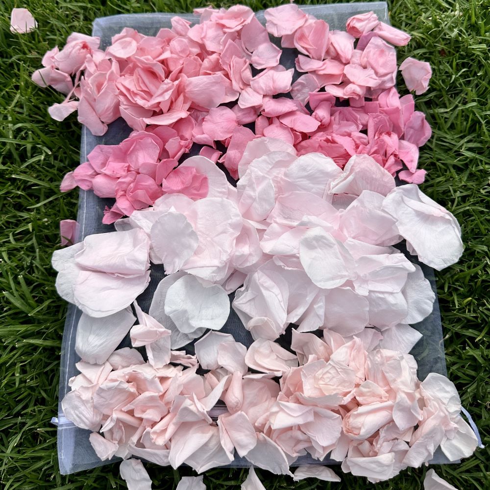 Cherry blossom Pink - Freeze Dried Soft Rose Petal Confetti
