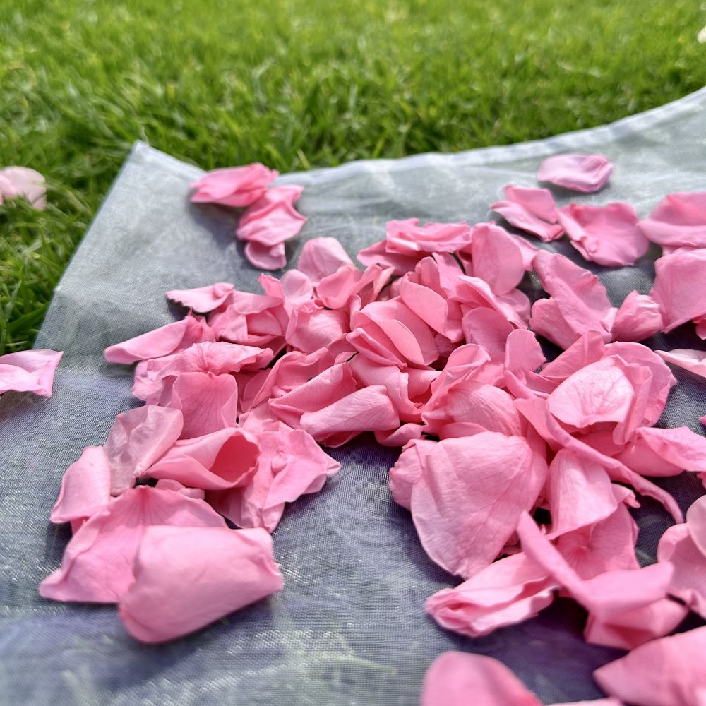 Small Pink and Large White Coconut Ice - Freeze Dried Soft Rose Petal Confetti