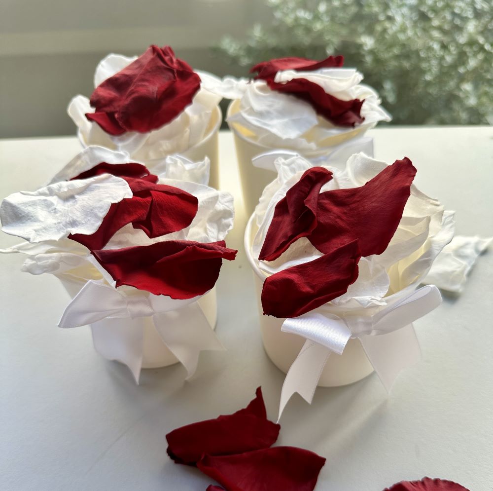 Red and White Strawberries and Cream - Freeze Dried Soft Preserved Rose Petal Confetti