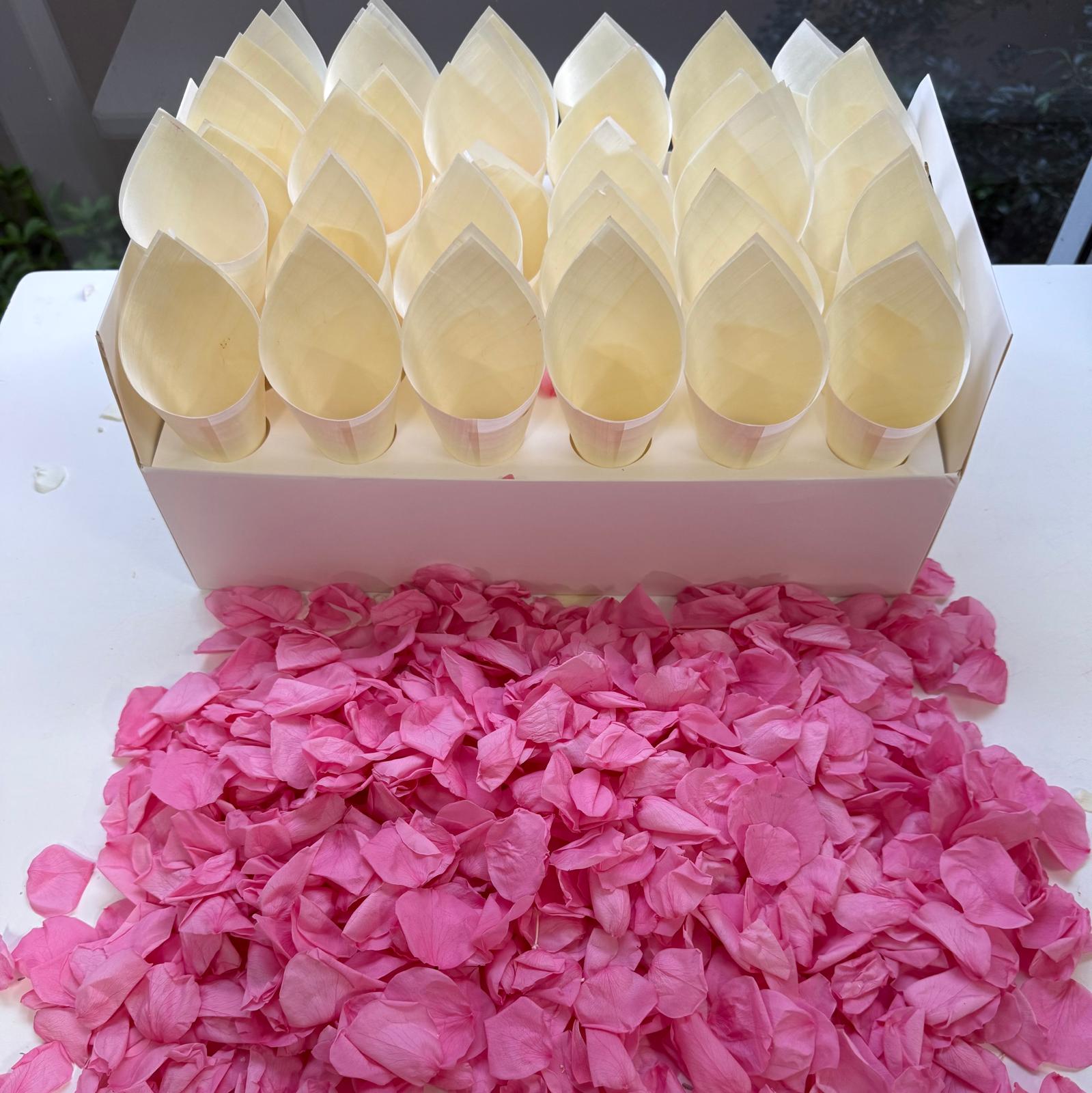 30 Guest Fleuerfect Value Bundle- Pink Freeze Dried Rose Petal Confetti (Petals+Cones+Tray)