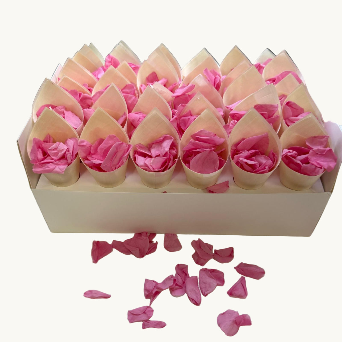 30 Guest Fleuerfect Value Bundle- Pink Freeze Dried Rose Petal Confetti (Petals+Cones+Tray)