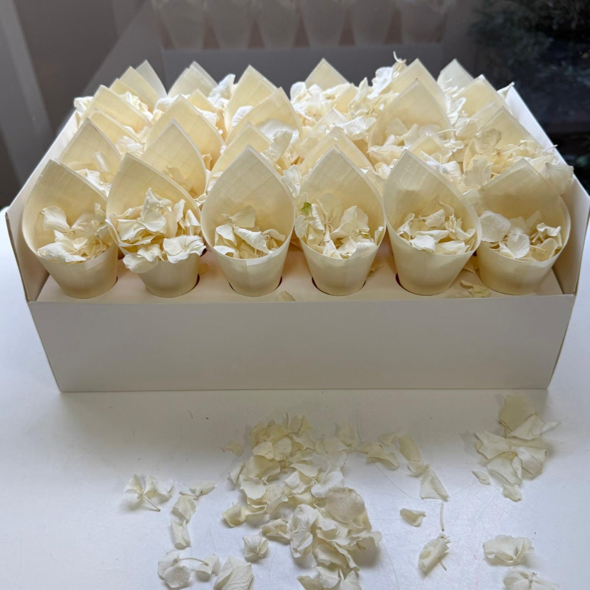 30 Guest Fleurfect Value Bundle- Antique White Hydrangea Freeze Dried Confetti (Petals+Cones+Tray)