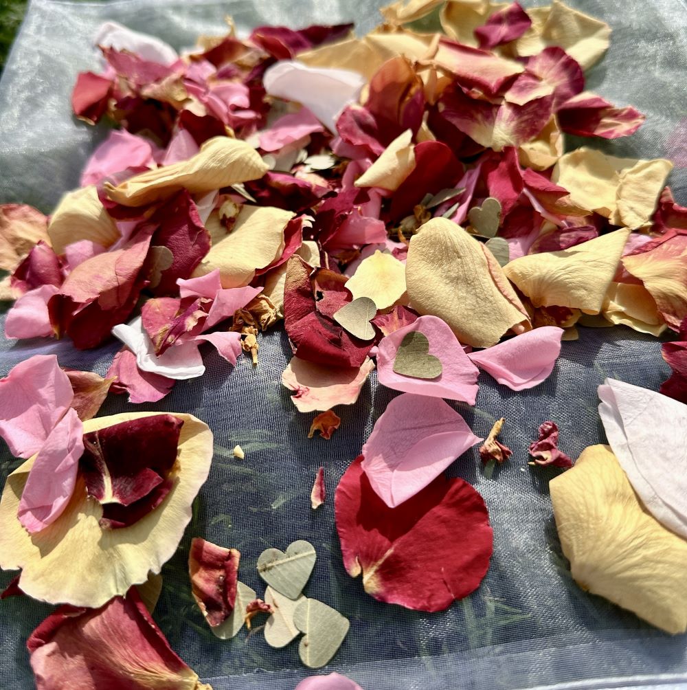 Celebrate Australia Day with Eco-Friendly Petal Confetti