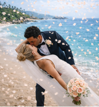 Biodegradable Petals & Confetti