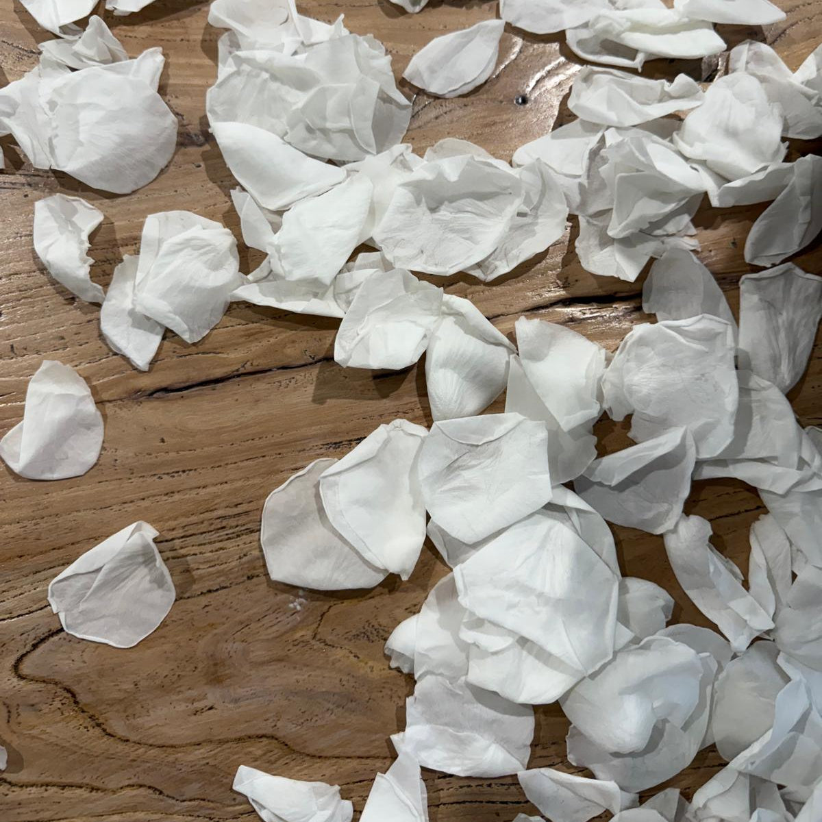 Biodegradable Petals & Confetti