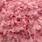 Freeze Dried Pink Frosting Hydrangea Wedding Petal Confetti