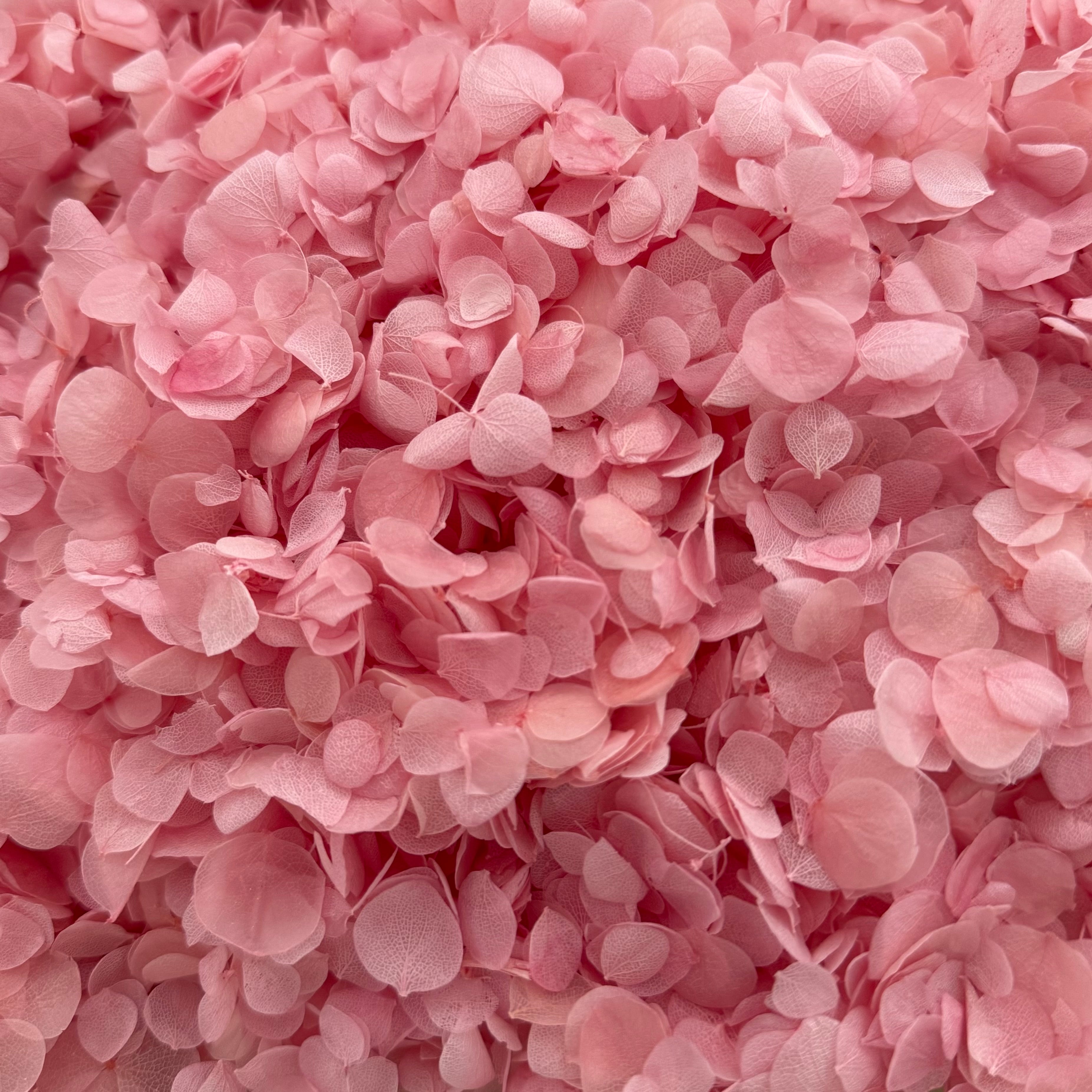 Freeze Dried Pink Frosting Hydrangea Wedding Petal Confetti