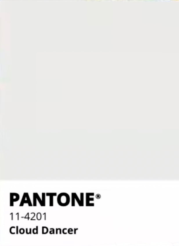 Cloud Dancer- Soft Freeze Dried Rose Petal Confetti