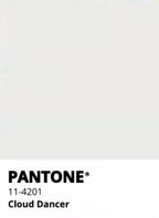 Cloud Dancer- Soft Freeze Dried Rose Petal Confetti