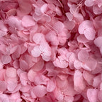Freeze Dried Pink Frosting Hydrangea Wedding Petal Confetti