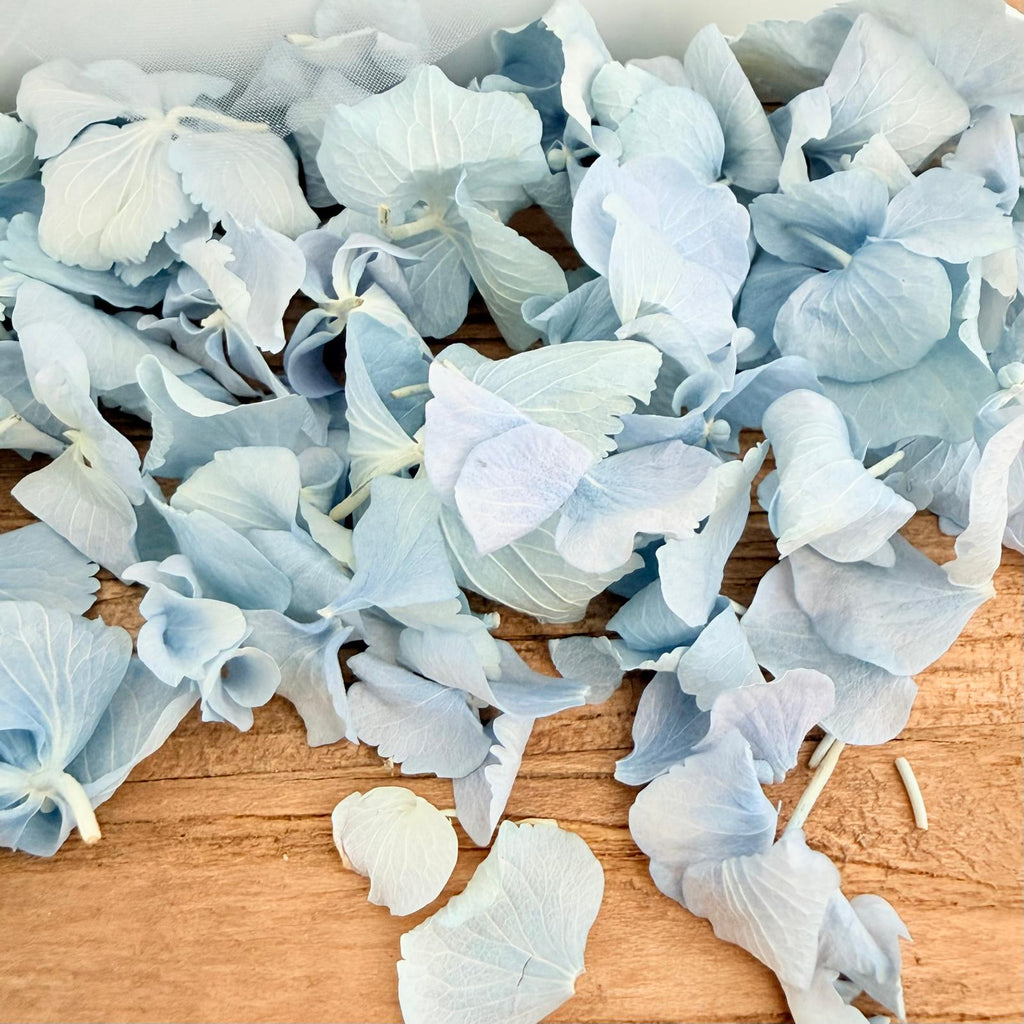 Wedding Bundle- Blue Hydrangea Biodegradable Petals+ Cones + Tray