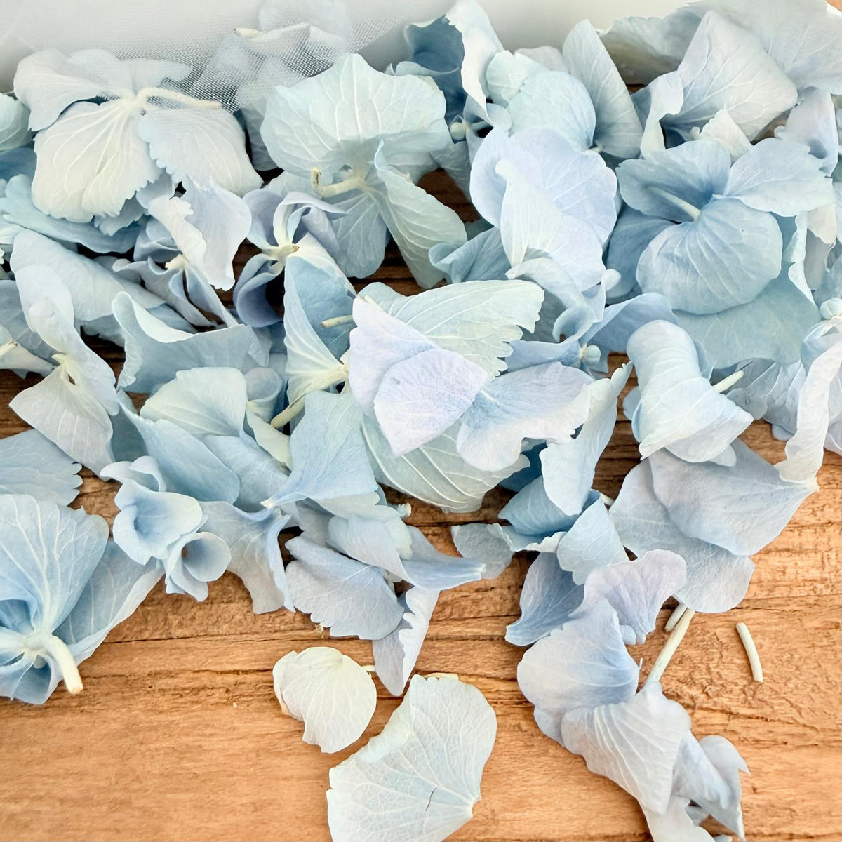 Wedding Bundle- Blue Hydrangea Biodegradable Petals+ Cones + Tray