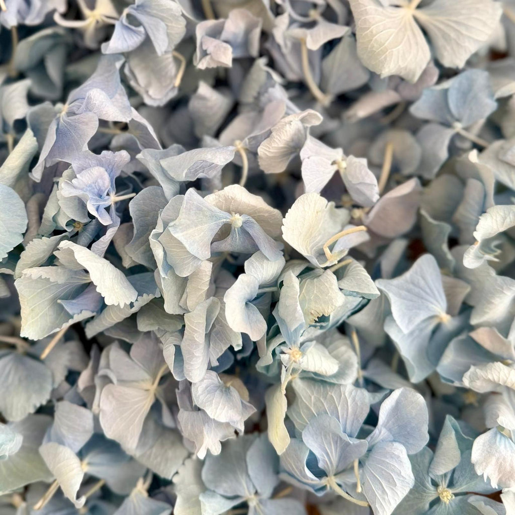 Wedding Bundle- Blue Hydrangea Biodegradable Petals+ Cones + Tray