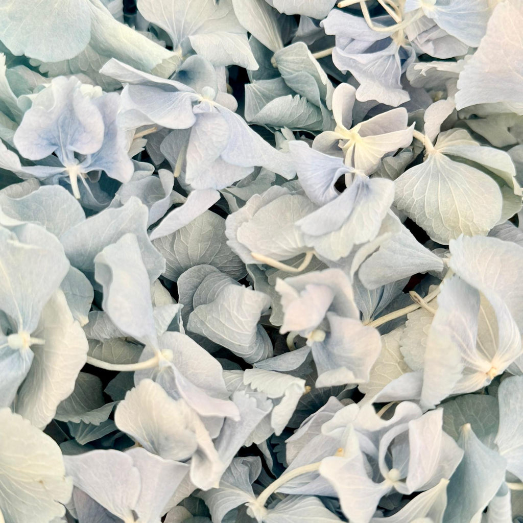 Wedding Bundle- Blue Hydrangea Biodegradable Petals+ Cones + Tray
