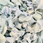 Wedding Bundle- Blue Hydrangea Biodegradable Petals+ Cones + Tray