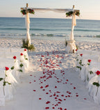 Crimson Red Freeze Dried and Preserved Rose Petal Confetti used as decorations at beachside wedding