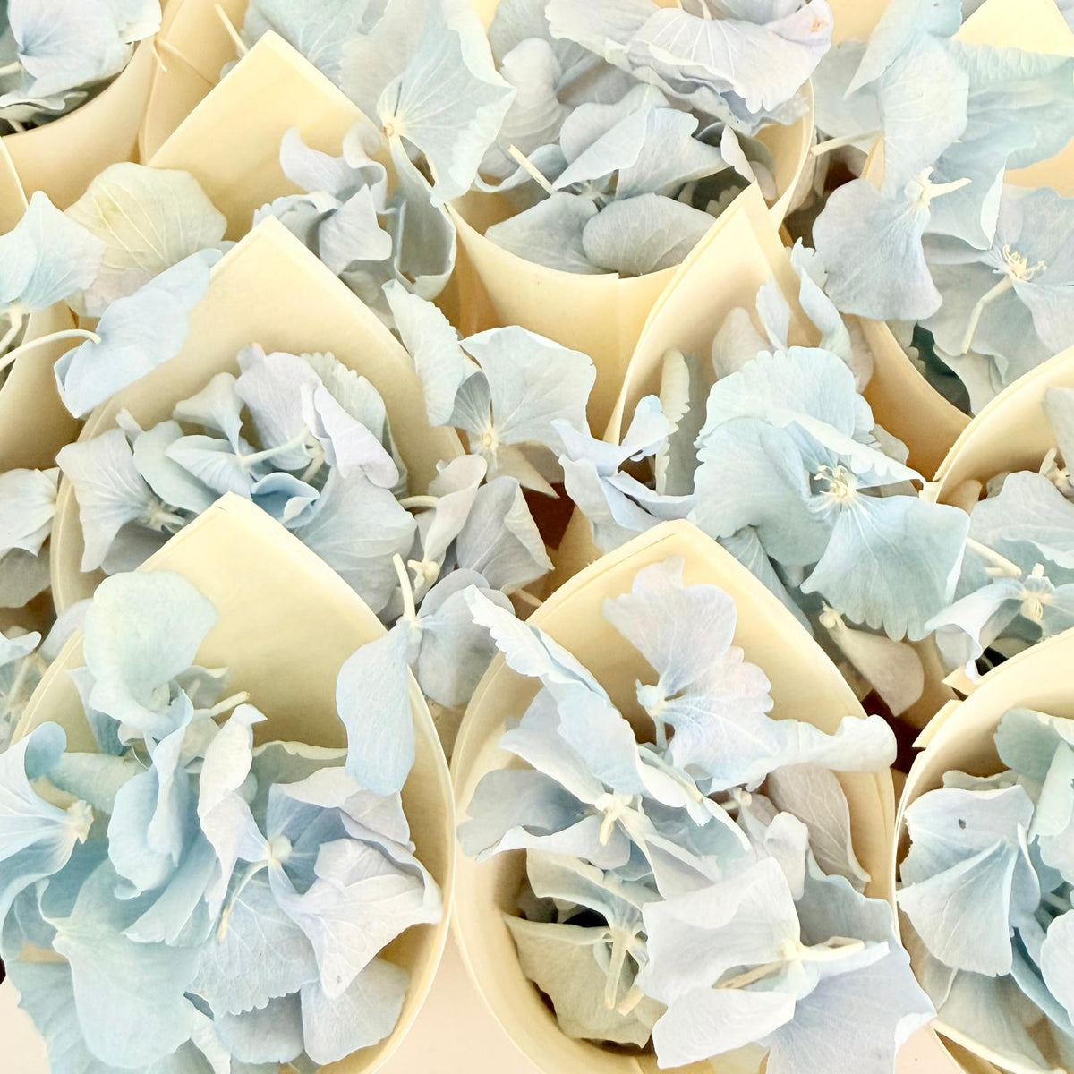 Wedding Bundle- Blue Hydrangea Biodegradable Petals+ Cones + Tray
