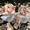 Lemon Summer Kiss - Freeze Dried Rose Petal Confetti