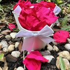30 Individually Pre-Packaged Tubs Biodegradable Preserved Rose Petal Confetti- Pop of Pink