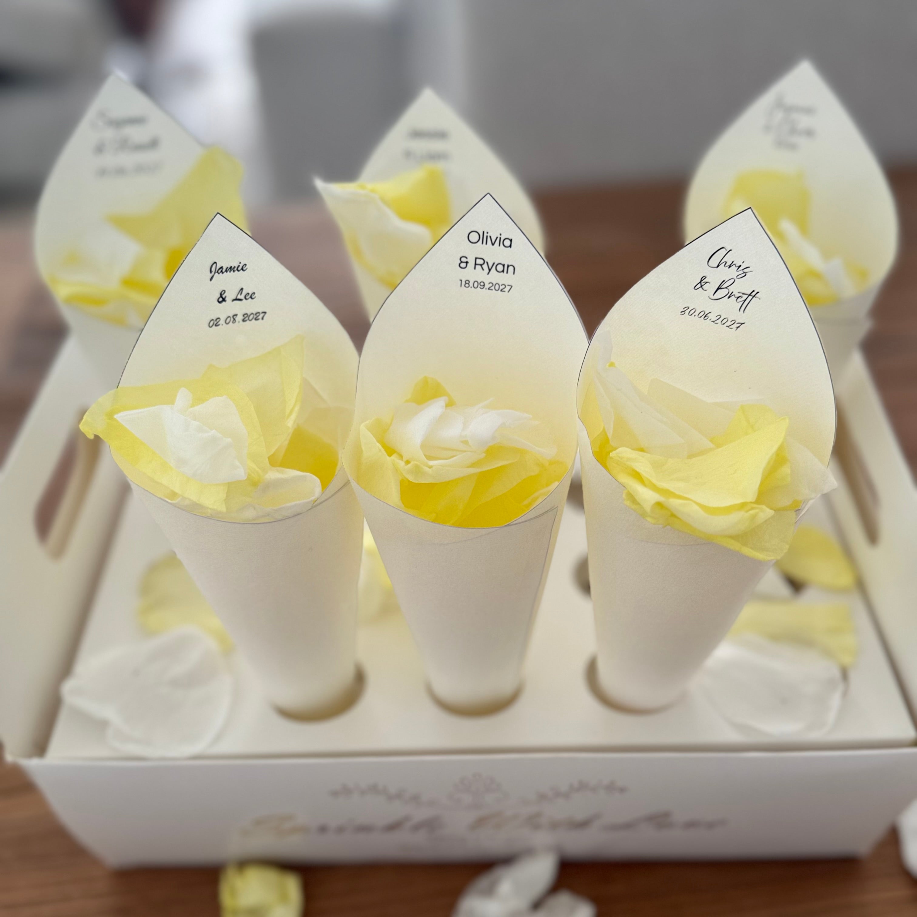 Confetti Cone Holder Tray Holds 20 Cones Gold text
