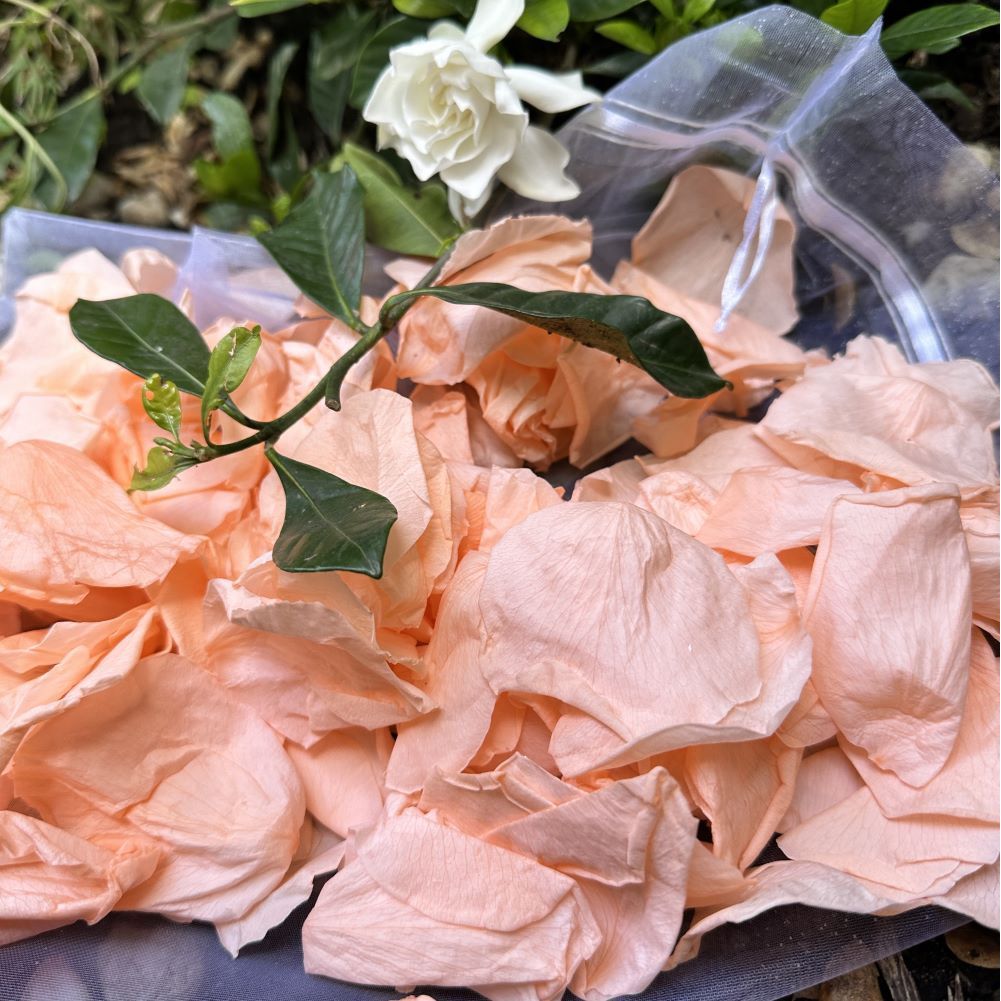 Sherbet - Freeze Dried Soft Rose Petal Confetti