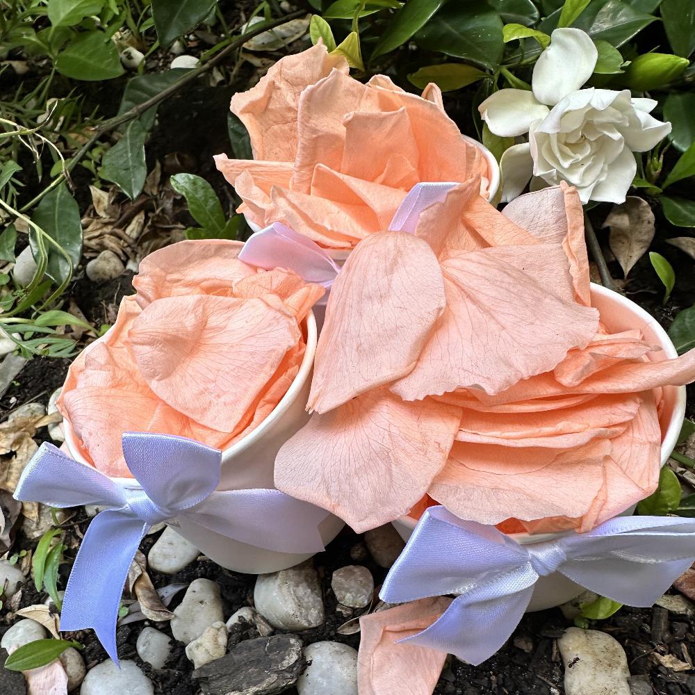 Sherbet - Freeze Dried Soft Rose Petal Confetti