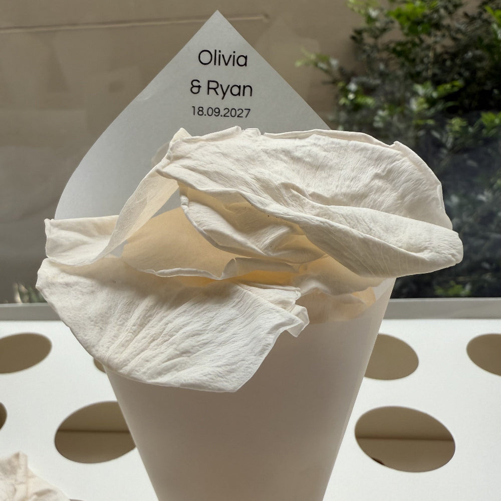 Customised Vellum Paper Confetti Cones - Olivia Style - Add your own text - Eco Friendly Pack of 20