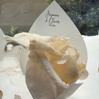Customised Vellum Paper Confetti Cones - Jasmine Style - Add your own text - Eco Friendly Pack of 20
