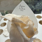 Customised Vellum Paper Confetti Cones - Jasmine Style - Add your own text - Eco Friendly Pack of 20