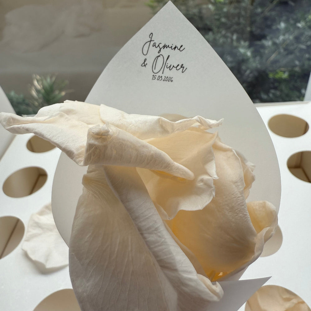 Customised Vellum Paper Confetti Cones - Jasmine Style - Add your own text - Eco Friendly Pack of 20