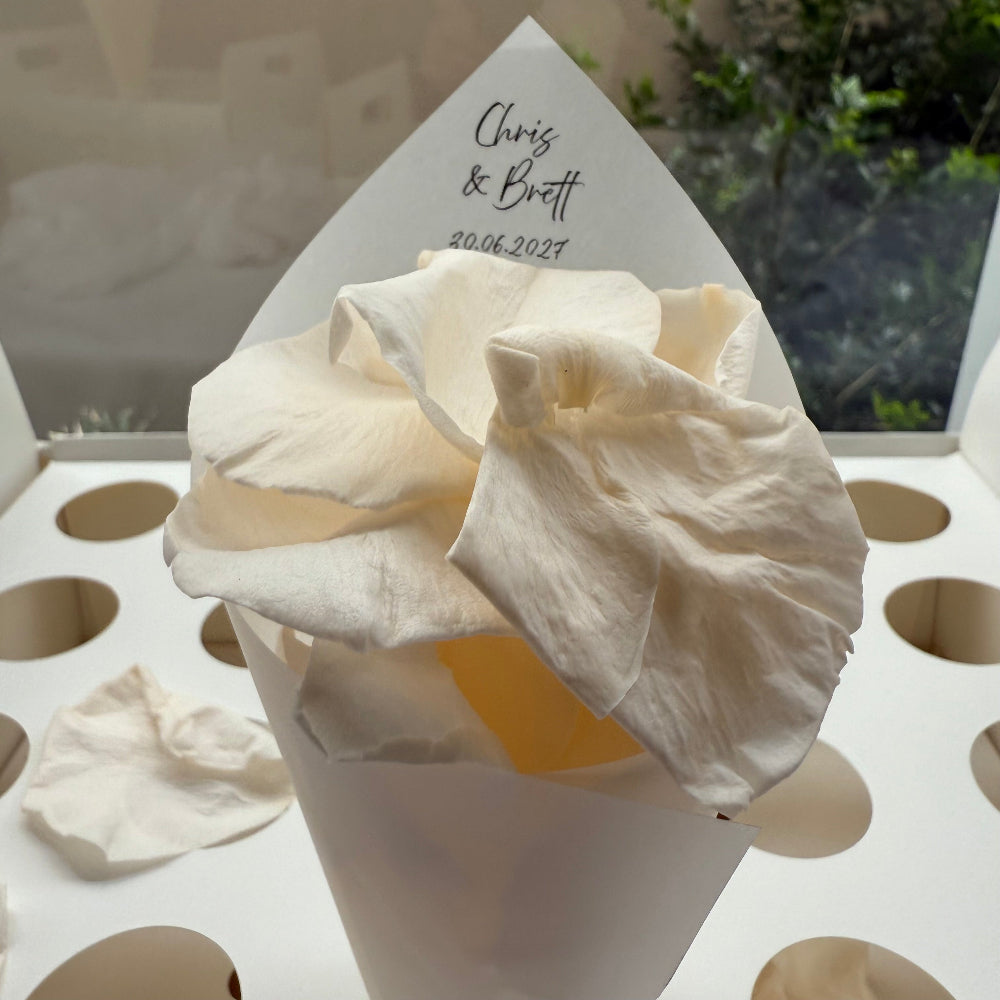 Customised Vellum Paper Confetti Cones -  Chris Style - Add your own text - Eco Friendly Pack of 20