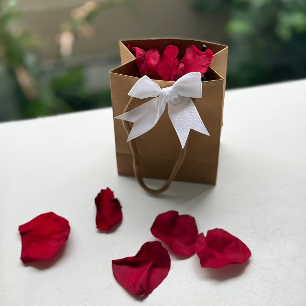Memorial Bags XS Kraft 14cm x 11cm x 6.5cm Pack of 10 Soft Ruby Red