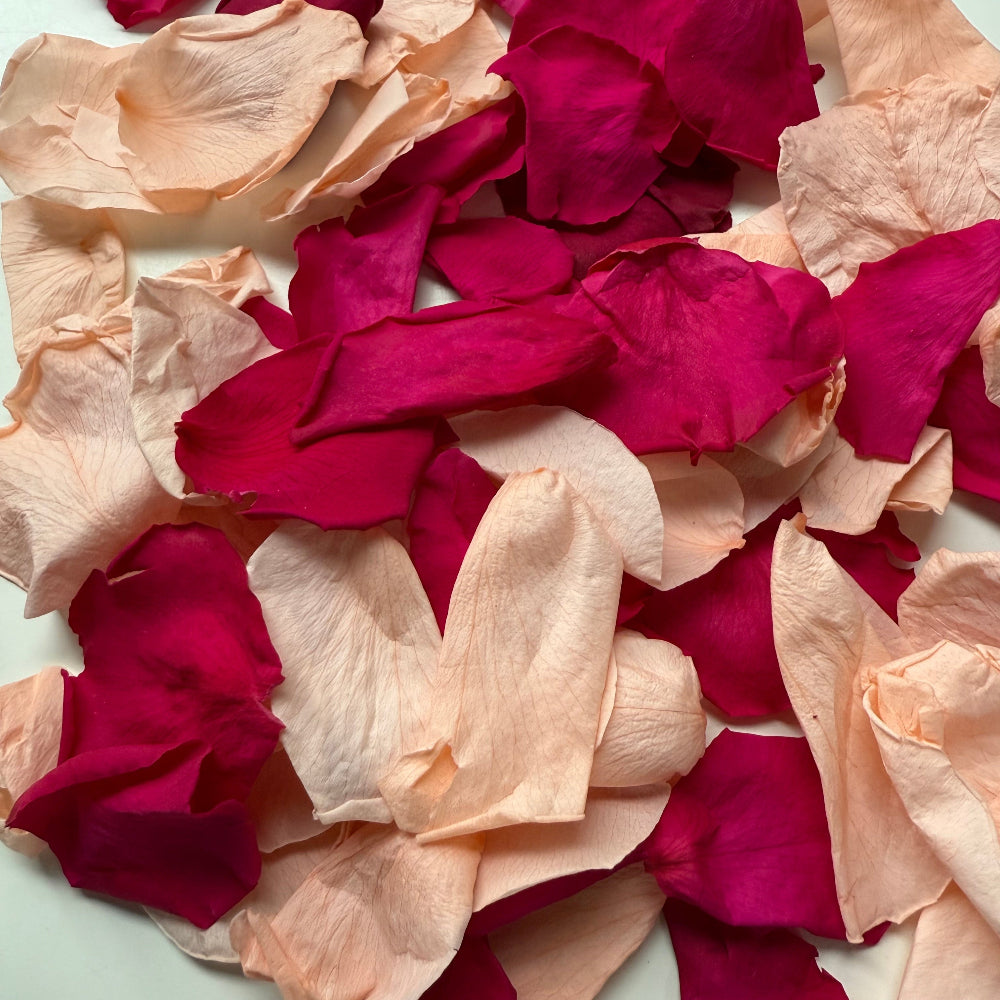 Berry and Mango- Freeze Dried Soft Rose Petal Confetti