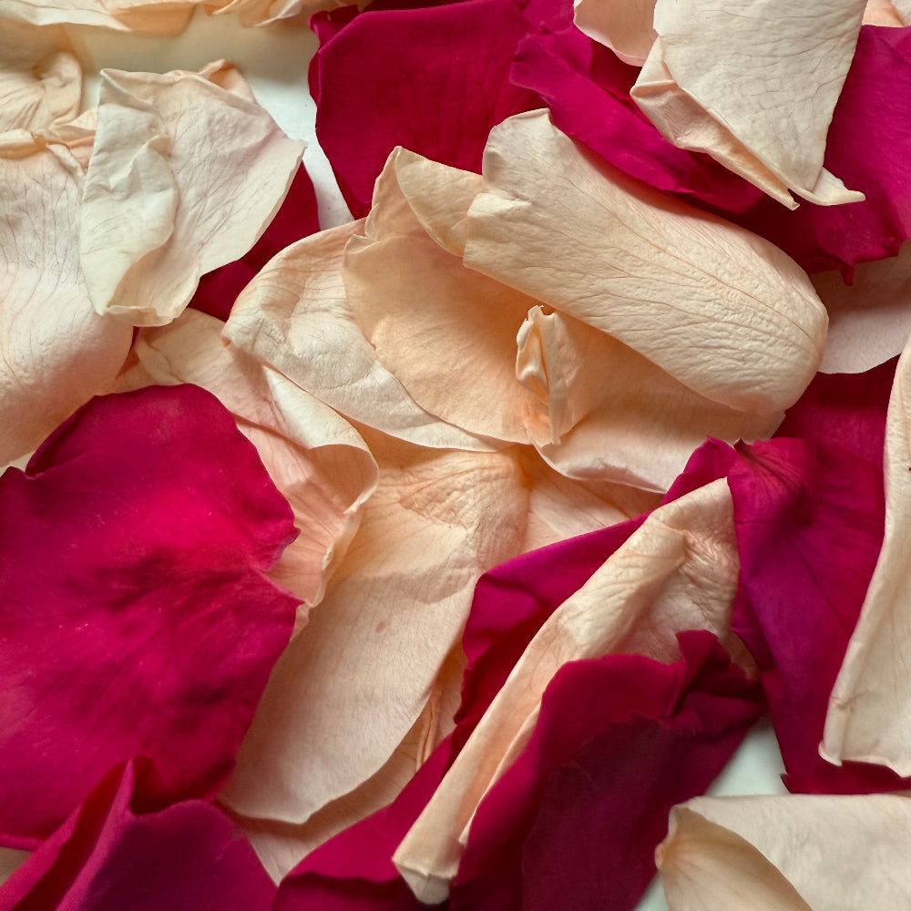 Berry and Mango- Freeze Dried Preserved  Rose Petal Confetti