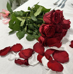 Ruby Red - Soft Freeze Dried Rose Petal Confetti