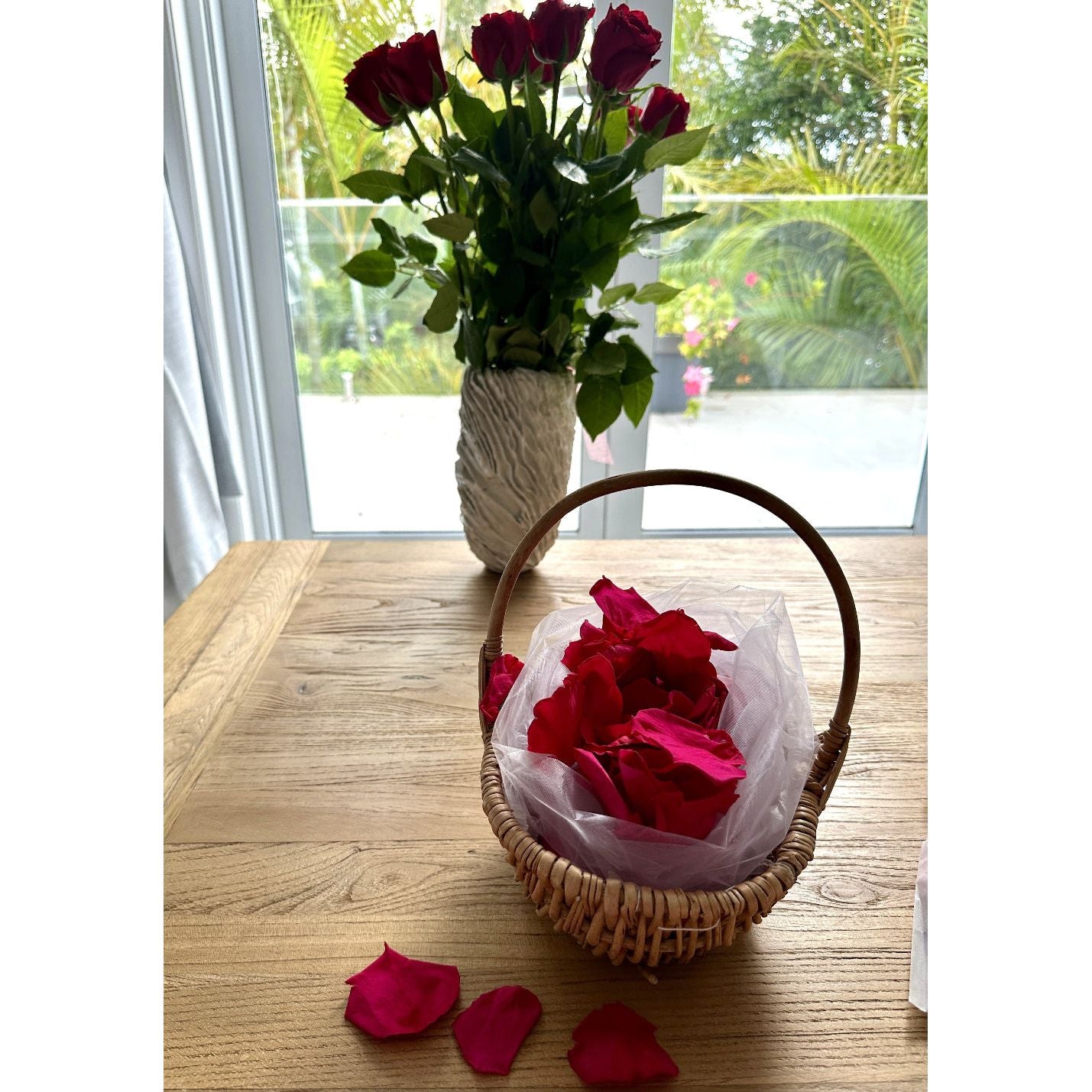 Magenta - Freeze Dried Soft Rose Petal Confetti