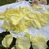 Lemon Summer Kiss - Freeze Dried Rose Petal Confetti