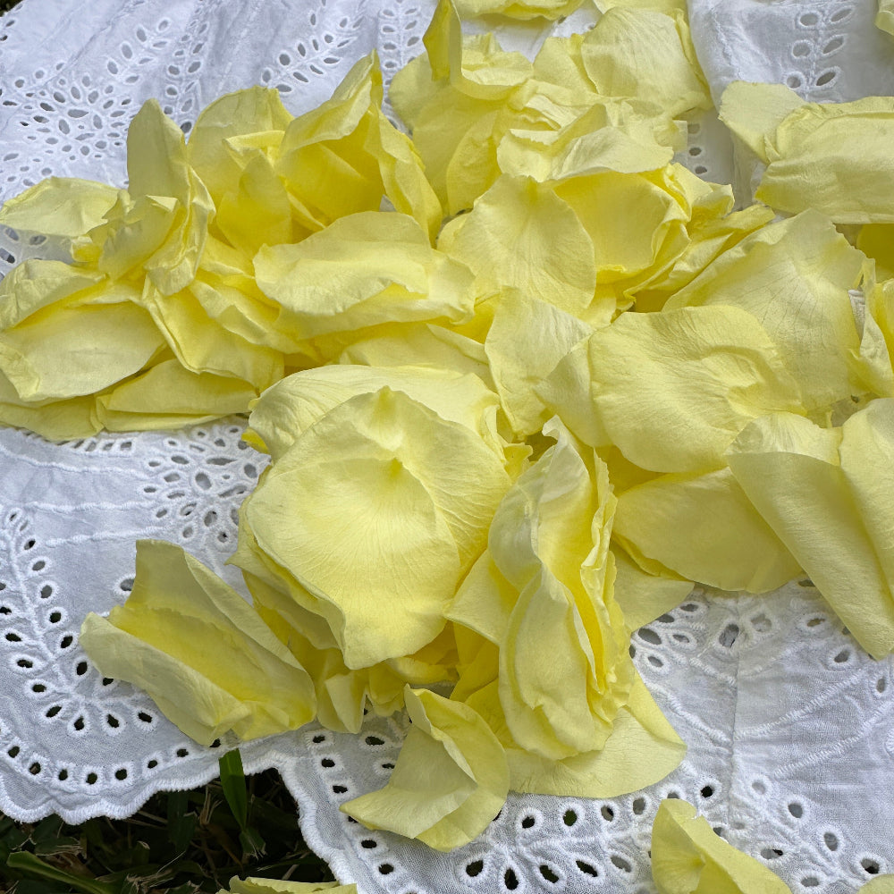 Lemon Summer Kiss  Freeze Dried Soft Rose Petal Confetti