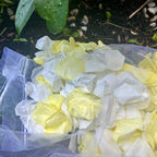 Lemon Meringue - Freeze Dried Soft Preserved Rose Petal Confetti